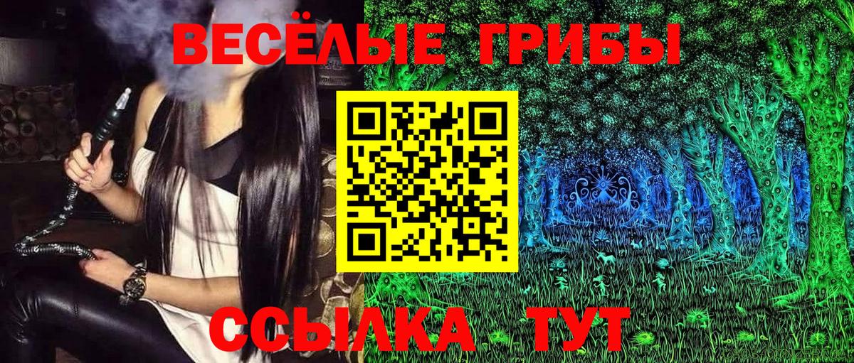 Скопин  Галлюциногенные грибы прущие грибы  Вход с VPN 